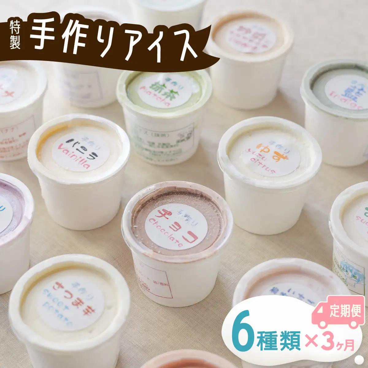 【定期便連続３か月】海陽町特製アイス　ユニークな味６種類セット！　