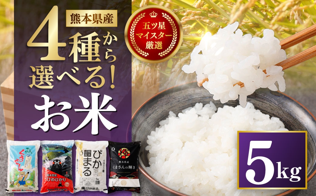 
                  令和7年産 熊本県産 選べるお米 5kg （ 森のくまさん、 ヒノヒカリ、 ぴかまる、 くまさんの輝き ） お米 米 こめ コメ 白米 白飯 飯 ご飯 おにぎり ブランド米 ブランド 国産 食味 粘り 甘み 【 2026年8月下旬まで発送予定 】
                