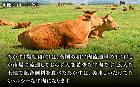【全6回定期便】熊本和牛 あか牛 焼肉用 400g やきにく 焼き肉 贅沢 GI認証 赤牛 褐牛 あかうし 褐毛和種 肥後 冷凍 国産 牛肉【有限会社 桜屋】[YBW100]