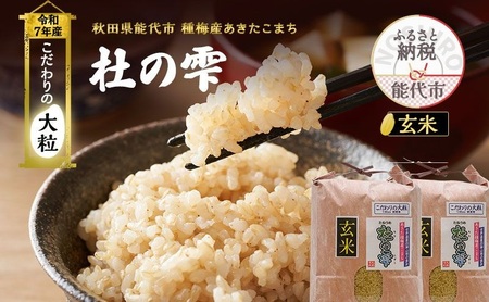 令和7年産 新米 玄米 秋田 あきたこまち 杜の雫 10kg （ 5kg ×2袋） 秋田県産 米 お米 こだわりの大粒 種梅産 精米 ご飯 ブランド米 大粒 おにぎり 産地直送 送料無料 秋田県