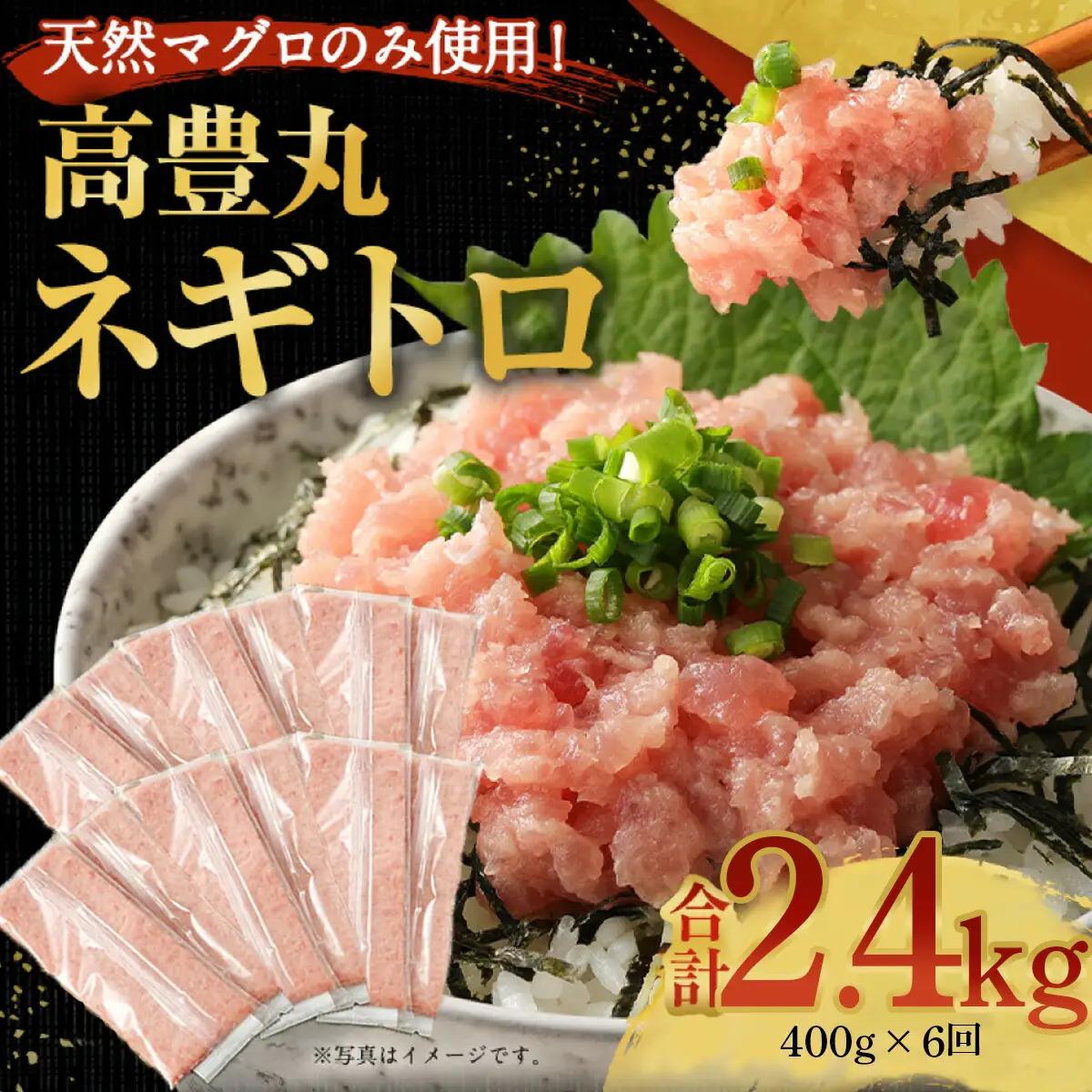 【6回お届け定期便】高豊丸 ネギトロ 定期便 tk018