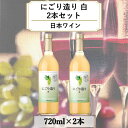 【ふるさと納税】ワイン 岩の原ワイン にごり造り 白 2本セット 新潟 上越 デラウェア 甘口 9％ 酒 ぶどう ギフト 記念日　お届け：入金確認後、順次発送いたします。