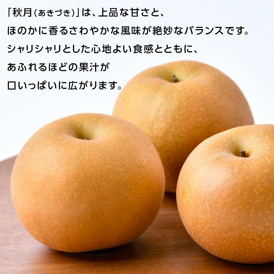 あきづき 梨 3kg （6～8玉）【2026年10月より発送開始】（茨城県共通返礼品 [梨]：大子町産） なし 旬 お取り寄せ フルーツ 甘い ジューシー 和梨 時期 秋月 [FC13-NT]_イメー
