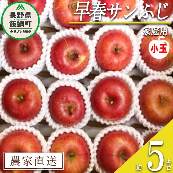 【ふるさと納税】 りんご 蔵出し 早春 サンふじ 家庭用 ( 小玉 ) 5kg 井澤農園 沖縄県への配送不可 令和7年度収穫分 エコファーマー認定 長野県 飯綱町 〔 信州 果物 フルーツ リンゴ 林檎 長野 14000円 予約 農家直送 〕発送時期：2026年3月上旬〜2026年4月上旬 {**}