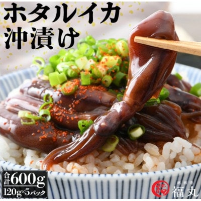 【のし付】ホタルイカ沖漬け　120g×5パック【配送不可地域：離島】【1703163】