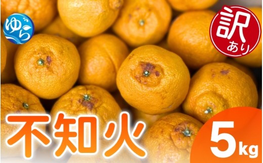 
                  【訳あり】しらぬい 5kg （サイズ混合）【eiw010-c-4】
                