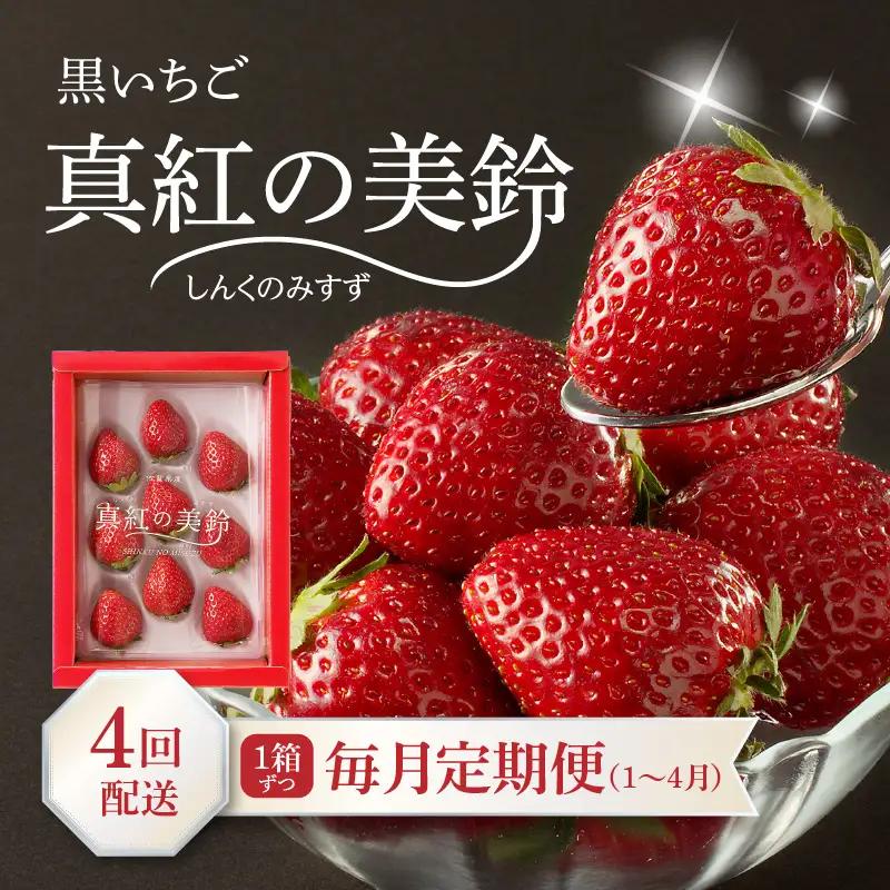 玄海町産いちご「真紅の美鈴」4ヶ月定期便 ／ フルーツ【Z040】