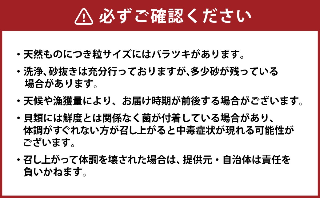 伝承桑名河口しじみ 12袋