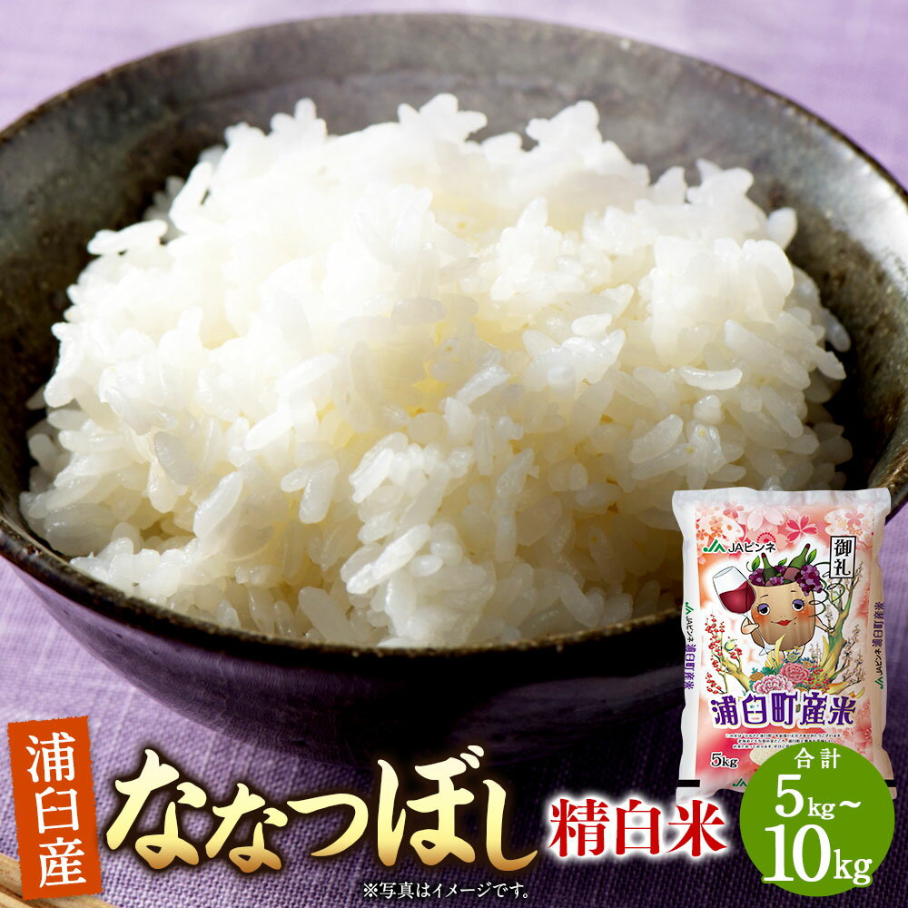 【ふるさと納税】＜選べる内容量＞〈令和8年産〉 浦臼産 ななつぼし 精白米 5kg×1袋 / 計10kg（5kg×2袋） お米 米 こめ コメ 白米 精米 単一原料米 ご飯 ごはん 北海道産 国産 北海道 浦臼町 送料無料 【2026年10月下旬より順次発送】