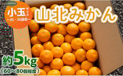 みかん 5kg ss 混合 山北みかん 小玉サイズ 2S・3S混合 約5kg（60～80個程度） 山北みらい - 果物 フルーツ 柑橘類 温州みかん ミカン 蜜柑 甘い おいしい 美味しい 高知県 香南市 yk-0044