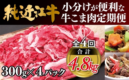 純近江牛 小分けが便利な牛こま肉定期便【3か月に1回お届け：全4回】[0383]