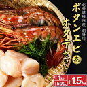 【ふるさと納税】【厳選品】　刺身用ボタンエビ大サイズ1kg　+　刺身用ホタテ500g　1.5kgセット_ ボタンエビ ぼたんえび えび エビ 海老 ボタン海老 ホタテ 帆立 ほたて 貝柱 刺身 さし身 海鮮 魚介 北海道 稚内市 稚内 人気 ふるさと 【配送不可地域：離島】【1004024】