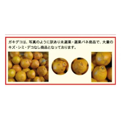 【訳あり】不知火(しらぬい)5kg【C21-52】【1677016】