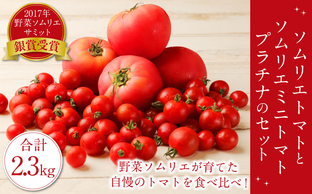 【 食べ比べ 】ソムリエ トマト 1.3kg と ソムリエ ミニトマト プラチナ 1kg の セット 合計2.3kg 2種 とまと 野菜 やさい 熊本県産 国産 【2025年2月上旬発送開始】