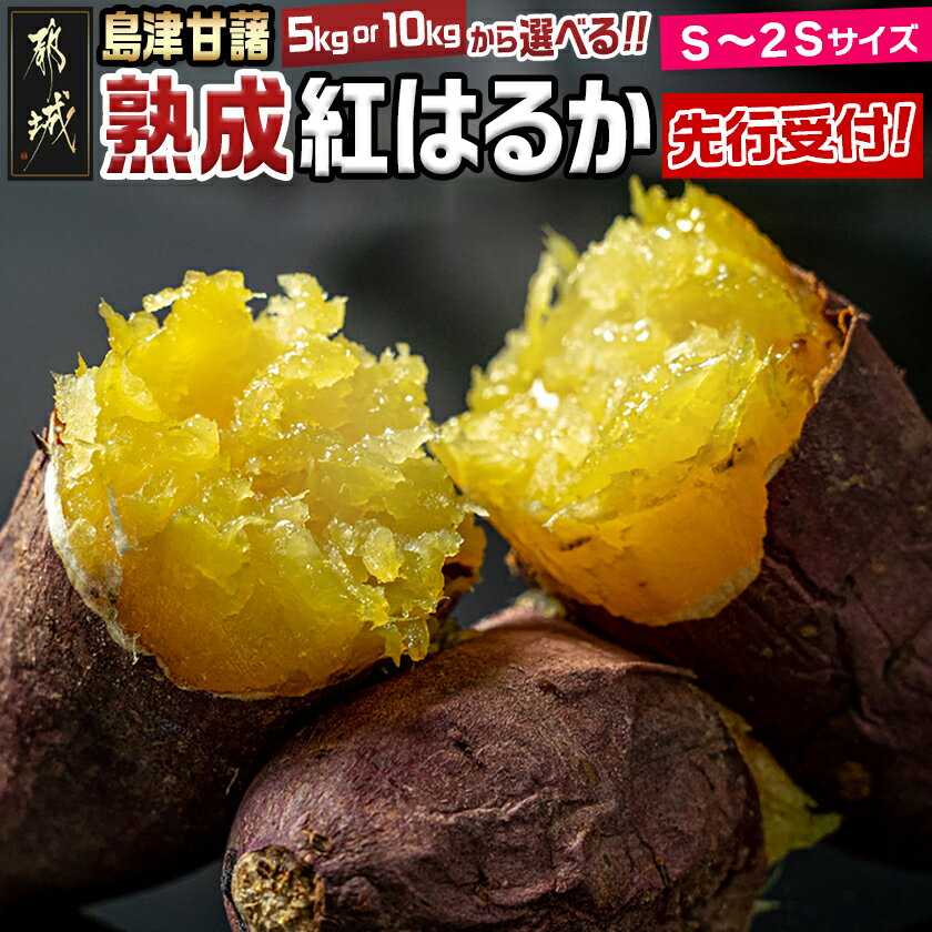 【ふるさと納税】先行受付！【内容量が選べる！】島津甘藷 熟成紅はるか ≪S〜2S≫ - 紅はるか 5kg/10kg 小さめサイズ 11月お届け 産地直送 さつまいも サツマイモ 九州 国産 土付き 料理 先行受付 送料無料 SKU-A702【宮崎県都城市は2年連続ふるさと納税日本一！】