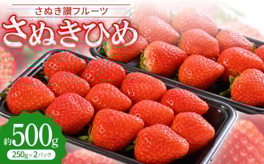 「さぬき讃フルーツ」さぬきひめ 　約500g＜令和8年1～3月発送＞【1608470】