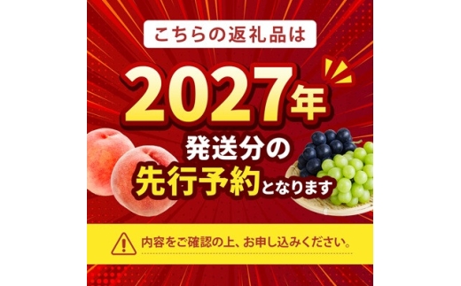 【2027年8月下旬以降発送 先行受付】山梨県産 シャインマスカット2kg(2～4房程度)【1783399】
