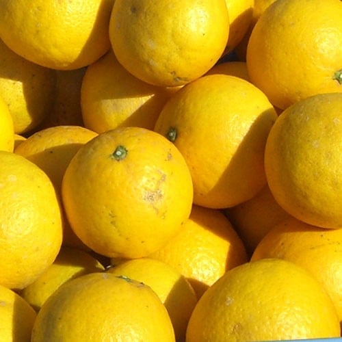 ※画像はイメージです。