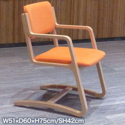 ふるさと納税 秋田市 Converge オレンジ コンバージュ|15_hws-050101 |  | 02