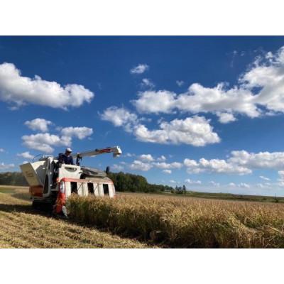 ふるさと納税 鷹栖町 令和7年産 真空パック ななつぼし 白米 5kg×4 計20kgセット |  | 03