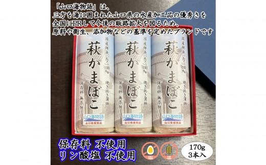 
                  【保存料・リン酸塩 不使用】エソ100％焼き抜き蒲鉾「萩かまぼこ」3本【化粧箱入】
                