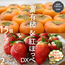 【ふるさと納税】富有柿15個 と 紅ほっぺDX2pk 【令和6年11月より発送開始】（茨城県共通返礼品：石岡市産） 詰め合わせ 果物 フルーツ 茨城県産