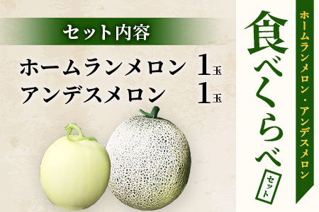 【2024年5月上旬発送開始】【先行予約】熊本県産 ホームランメロン アンデスメロン 食べ比べ 計2玉 約3kg 令和6年 先行 予約 ご予約 熊本 くまもと アンデス ホームラン メロン アンデスメ