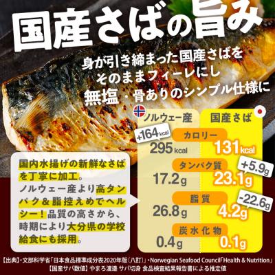 ふるさと納税 佐伯市 鯖 フィーレ 無塩 (計2kg・1kg×2袋) |  | 01