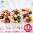 【ふるさと納税】ぶどう4種詰め合わせ 粒 3パック(合計約1kg) 《古川農園》■2024年発送■※10月下旬頃～12月下旬頃まで順次発送予定 フルーツ 果物 ぶどう シャインマスカット 詰め合わせ