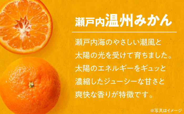 【先行予約】【11月中旬より順次発送】瀬戸内のめぐみたっぷり！温州みかん（S~Lサイズ）5kg　愛媛県大洲市/沢井青果有限会社 [AGBN047]