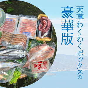 S059-010A_天草わくわくボックスデラックス / 車エビ あわび ロザリオポーク 魚刺身 一夜干し