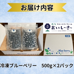 長野県産 冷凍ブルーベリー 約1㎏（2026年8月～2027年1月出荷／沖縄・離島は配送不可） ベリー