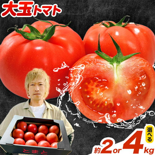 【ふるさと納税】【2025年先行受付】 トマト 大玉トマト 新鮮 選べる2kg or 4kg 9~24玉 松澤農園《2025年7月上旬-10月下旬頃出荷》 岩手県 九戸村 野菜 岩手県産 国産 お取り寄せ 送料無料 大きい リコピン 美容 甘い 健康