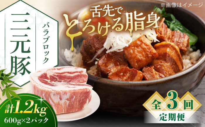 
                  【全3回定期便】平田牧場 バラブロック 1.2kg (600g×2P) 《喜茂別町》【平田牧場】 肉 豚肉 バラ ブロック 煮豚 酢豚 煮物 冷凍配送 定期便 定期 北海道 平田牧場 三元豚 [AJAP107] 39000 39000円
                