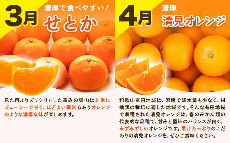 【先行予約】【発送月固定定期便】紀州 和歌山産 旬の ご家庭用 柑橘 セット (みかん 不知火 せとか 清見)【全4回】 計19kg 株式会社魚鶴《2027年1月上旬-5月上旬頃出荷》 和歌山県 日高