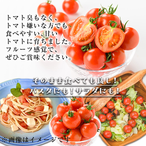 ミディトマト そおたん(2kg以上) トマト フルティカ 野菜【曽於市観光協会】A249-v01