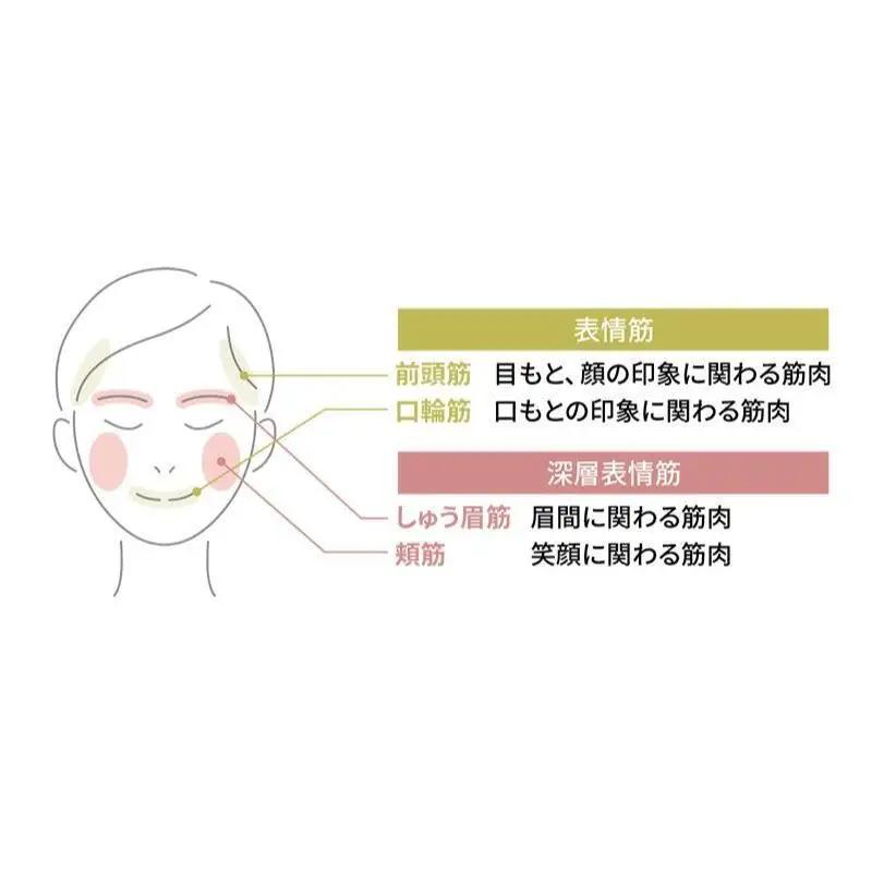 美顔器 RF美顔器 フォトプラス プレステージ SP ヤーマン 美容家電 美容 スキンケア