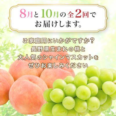 ふるさと納税 中野市 【発送月固定定期便】訳あり桃2.1kg(8月)・訳ありシャインマスカット1.3kg(10月)全2回 |  | 01