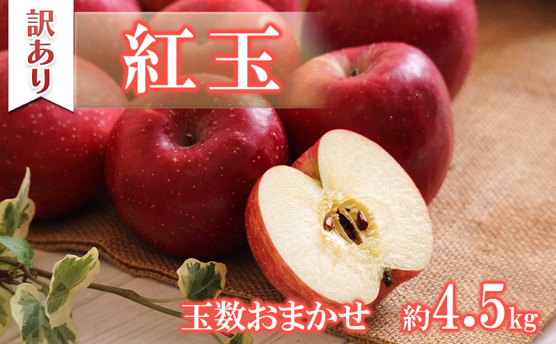 
【訳あり】紅玉　約4.5kg　玉数おまかせ　[№5675-1442]
