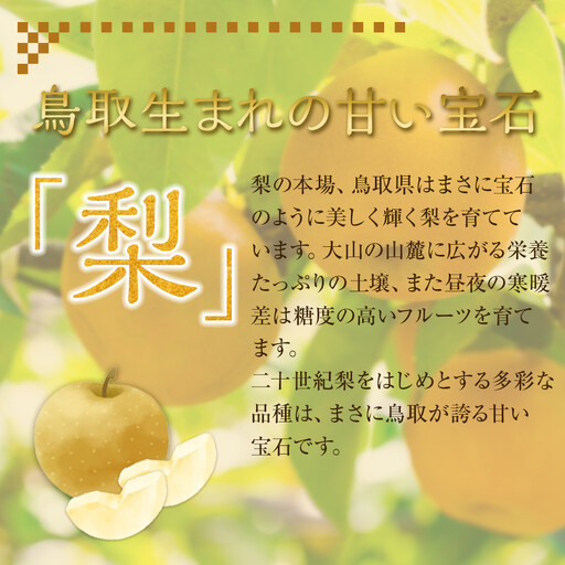 旬の赤 梨 セット 4～5kg前後 ※2026年8月下旬～12月下旬頃に順次発送予定 【梨 なし 果物 フルーツ くだもの 鳥取県産 北栄町 おすすめ 人気】