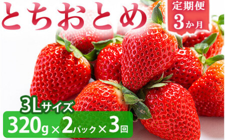 ＜いちご3か月定期便＞栃木県産とちおとめ 320g×2パック 3Lサイズ 3回 | 栃木県 壬生町 いちご 苺 イチゴ とちおとめ フルーツ 果物 新鮮 平積み 産地直送 2026年1月 2月 3月  いちご いちご いちご※2026年1月中旬頃より順次発送予定 ※離島への配送不可