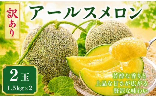 メロン めろん 訳あり茨城  2026年発送 2玉 1.5kg×2 果物 くだもの フルーツ 果実 青肉 青肉メロン デザート 2個 アールスメロン あーるすめろん 国産 meron melon 産地直送 農家直送 数量限定 期間限定 旬 ご家庭用 茨城旭エメラルド 茨城県 鉾田市 長洲農園