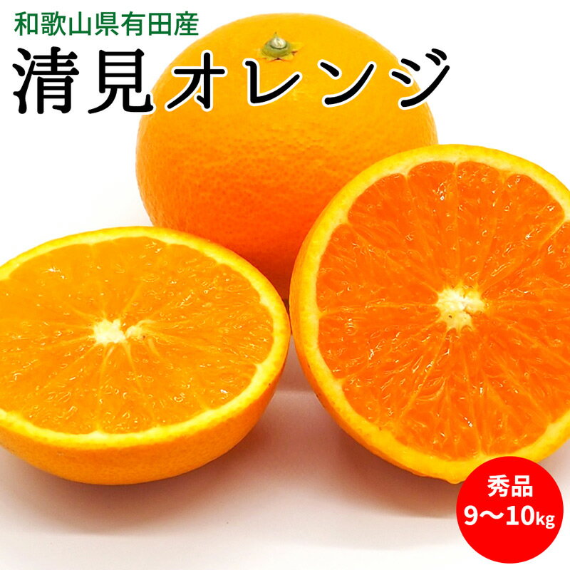 【ふるさと納税】【2026年先行予約】清見オレンジ 秀品 約9～10kg 和歌山県有田産【清見 みかん オレンジ タンゴール きよみ 柑橘 和歌山 有田】