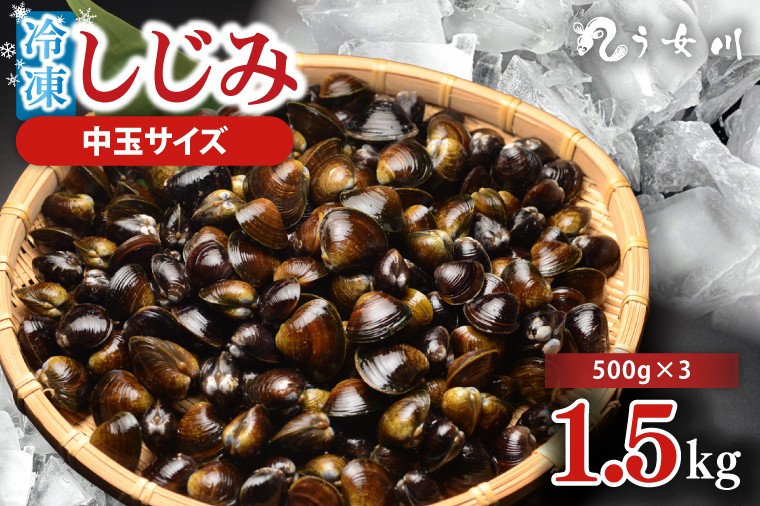 
            しじみ 冷凍 中玉 1.5kg（500ｇ×3）砂抜き済み 涸沼川 う女川【シジミ オルニチン ミネラル ビタミンB12 出汁 肝臓 味噌汁 スープ 茨城県 水戸市】（IX-115）
          