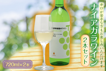 ナイアガラワイン2本セット F2Y-4634