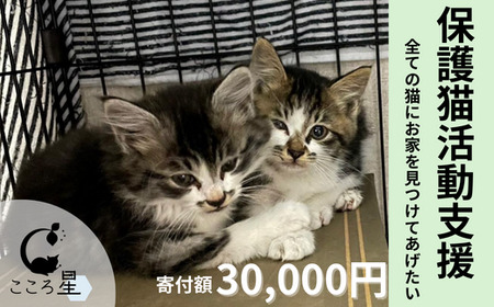 保護猫 活動支援 寄付額30,000円