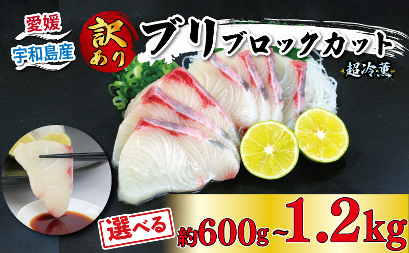 
            訳あり 超冷薫 ブリ ブロックカット 600g ～ 1.2kg オンスイ 選べる 内容量 鰤 ぶり わけあり 不揃い 加工 真空パック 刺身 お刺し身 刺し身 漬け丼 漬丼 寿司 ネタ お寿司 魚介 海鮮 海産物 水産 急速冷凍 特許技術 小分け 冷凍 ブリしゃぶ 鰤しゃぶ 産地直送 国産 愛媛 宇和島 D010-159008～010
          