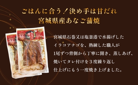 宮城県産あなご蒲焼（1食）12入 12回定期便 毎月配送 冷凍 小分け 穴子 アナゴ 蒲焼き 魚 お魚
