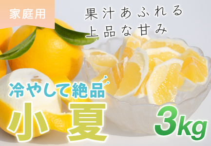 小夏 3kg 家庭用 日向夏 ニューサマーオレンジ くだもの 果物 産直 旬の果物 高知県 大月町