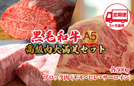 【定期便3回】黒毛和牛 A5 ブロック肉 食べ比べセット 1.5kg モモ・ヒレ・サーロイン